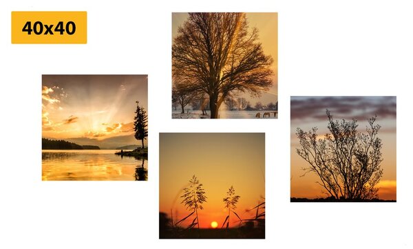 Set di quadri – Natura incantevole