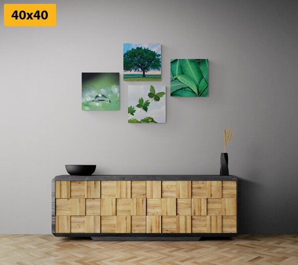 Set di quadri – Natura piena di verde