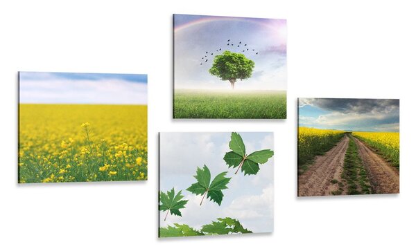 Set di quadri – Natura abbagliante