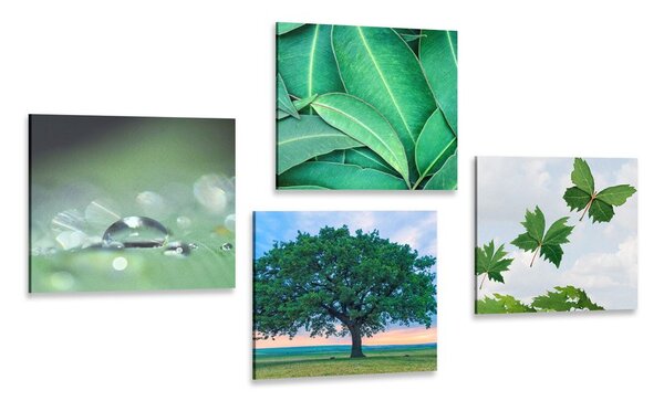 Set di quadri – Natura piena di verde