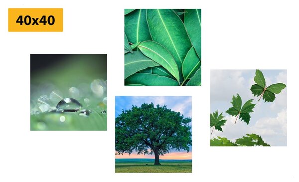 Set di quadri – Natura piena di verde