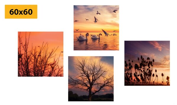 Set di quadri – Natura affascinante