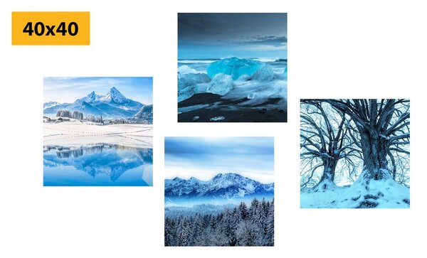 Set di quadri – Regno innevato