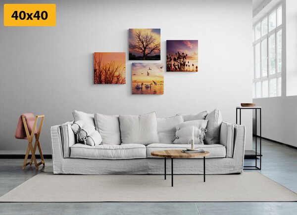 Set di quadri – Natura affascinante