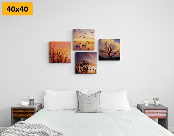 Set di quadri – Natura affascinante