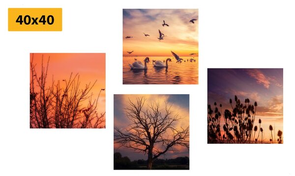 Set di quadri – Natura affascinante