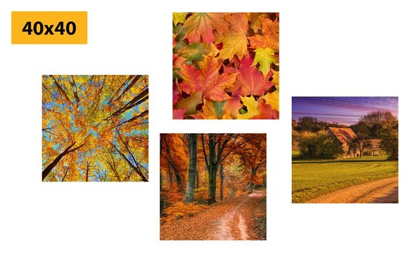 Set di quadri – Natura in colori autunnali