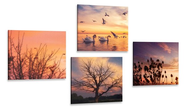 Set di quadri – Natura affascinante