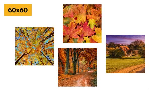 Set di quadri – Natura in colori autunnali