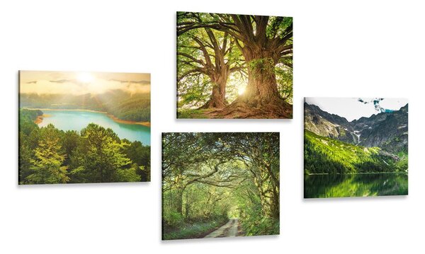 Set di quadri – Splendida natura verde