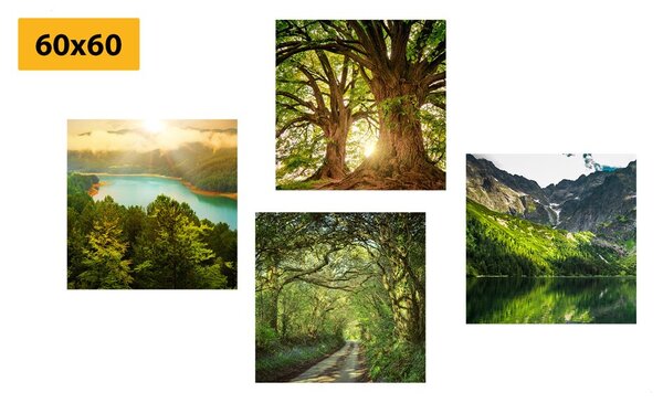Set di quadri – Splendida natura verde