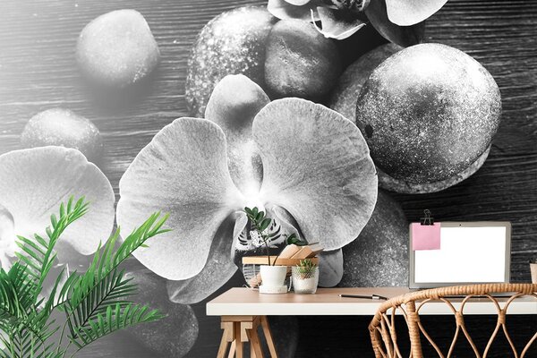 Carta da parati – Orchidea e pietre in bianco e nero