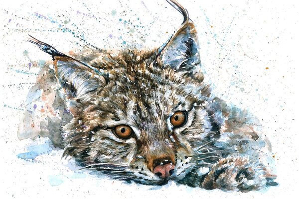 Carta da parati – Lince in acquerello