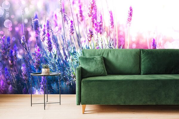Carta da parati – Fiori magici di lavanda