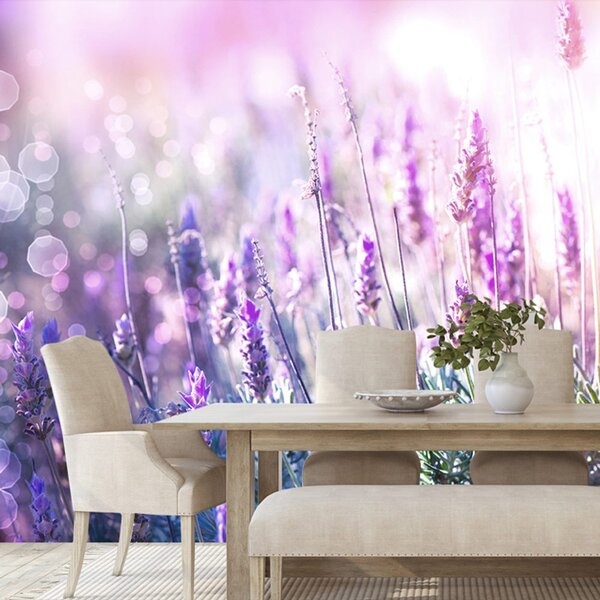 Carta da parati – Fiori magici di lavanda