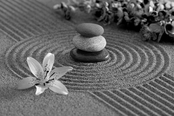 Carta da parati – Giardino Zen in bianco e nero