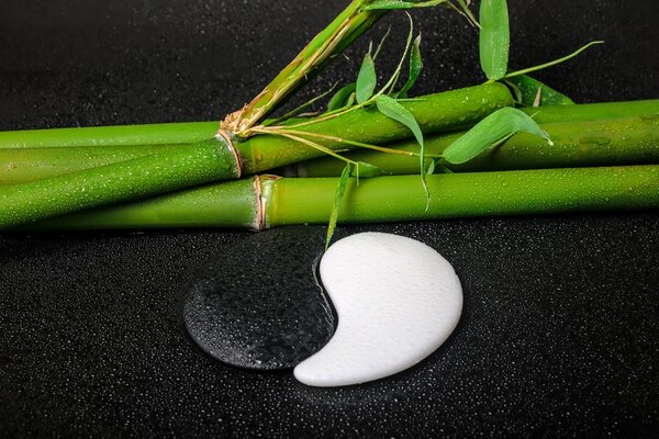 Carta da parati – Pietre a forma di Yin e Yang