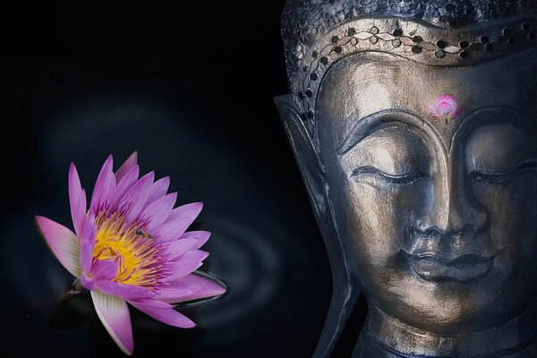 Carta da parati – Divino Buddha