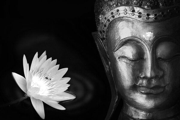 Carta da parati – Divino Buddha bianco e nero