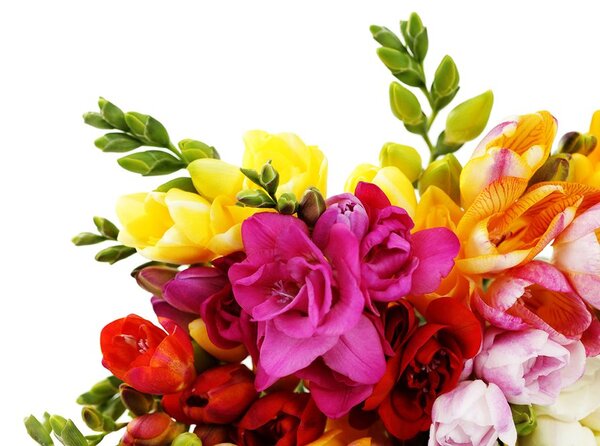 Carta da parati – Bouquet di fresie