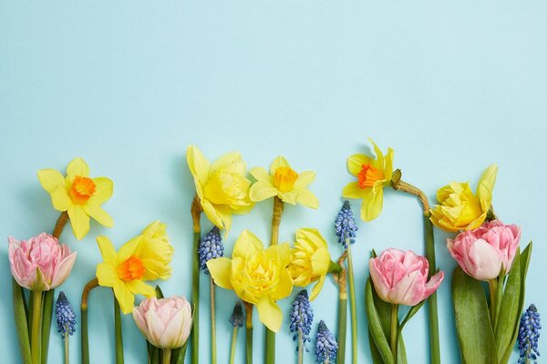 Carta da parati – Composizione floreale primaverile