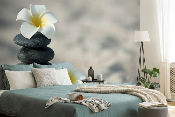 Carta da parati – Pietre armoniche e plumeria