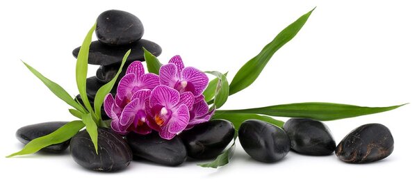 Carta da parati – Orchidea viola in un ambiente zen