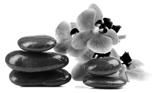 Carta da parati – Pietre bianco e nero e orchidea