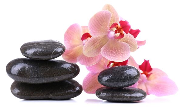 Carta da parati – Pietre e orchidea