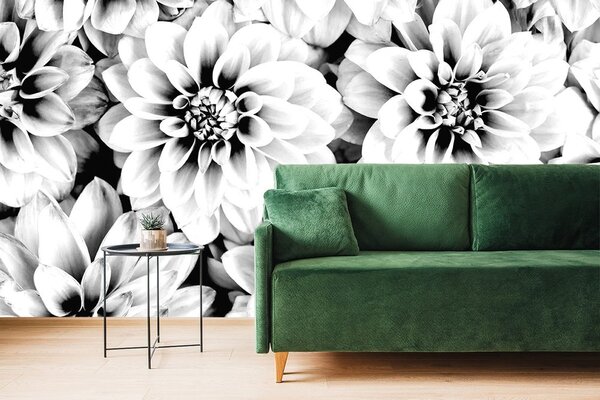 Carta da parati – Fiori di dalia in bianco e nero