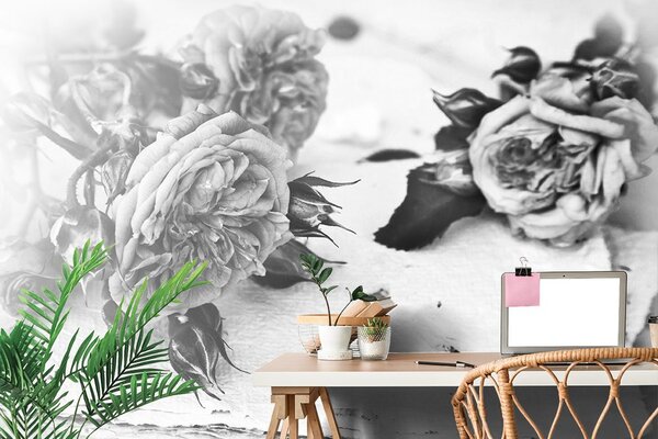 Carta da parati – Rose bianco e nero in fiore