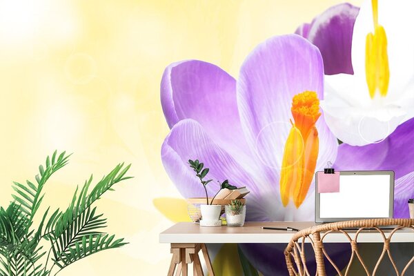 Carta da parati – Fiore in tocco primaverile