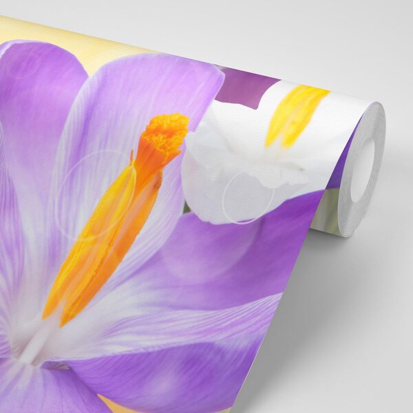 Carta da parati – Fiore in tocco primaverile