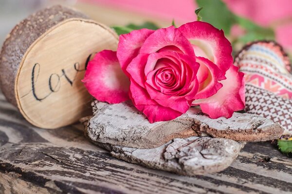 Carta da parati – Rosa d'amore
