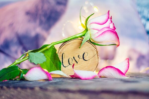 Carta da parati – Dichiarazione romantica