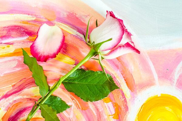 Carta da parati – Rosa arcobaleno