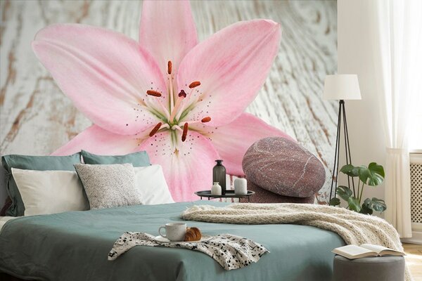 Carta da parati – Giglio rosa e pietre Zen