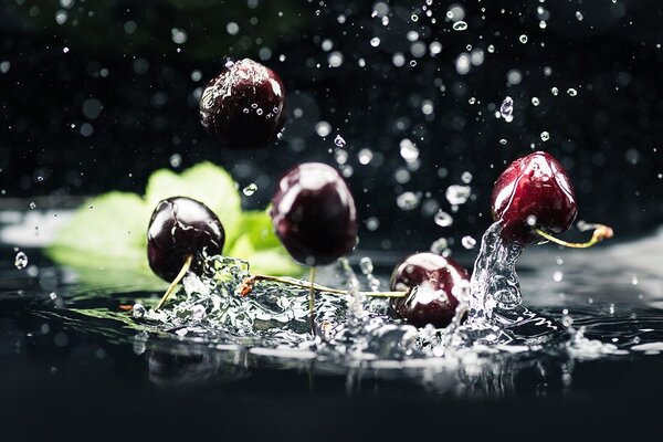 Carta da parati – Ciliegie mature nell'acqua