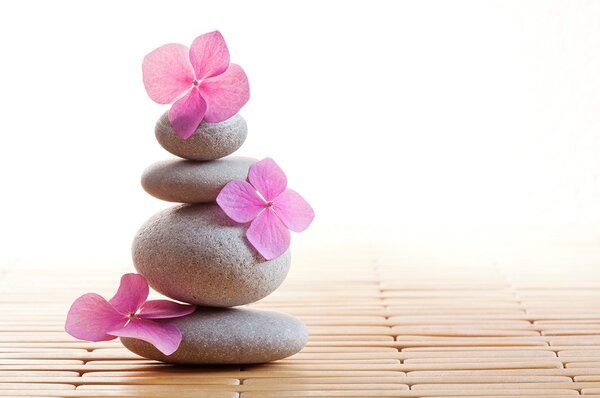 Carta da parati – Equilibrio di pietre e fiore rosa