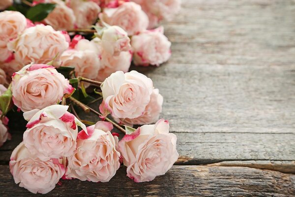 Carta da parati – Rose romantiche