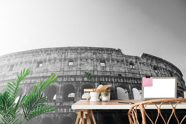 Carta da parati – Colosseo in bianco e nero