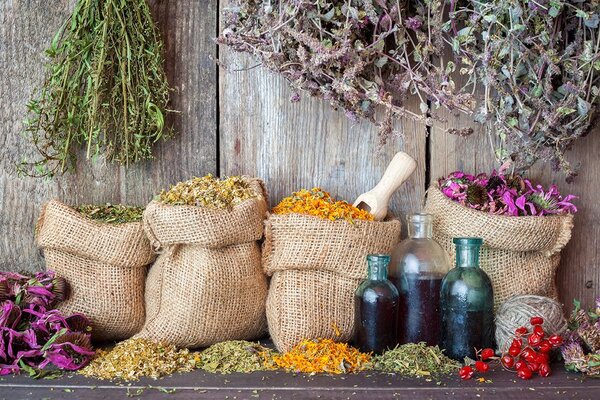 Carta da parati – Erbe medicinali