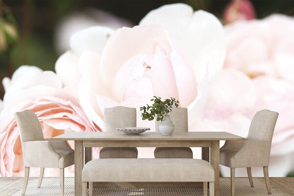 Carta da parati – Rose