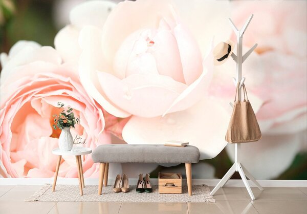 Carta da parati – Rose