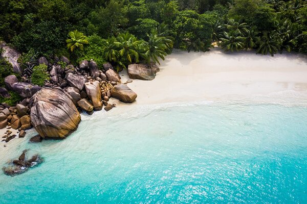 Carta da parati – Costa delle Seychelles