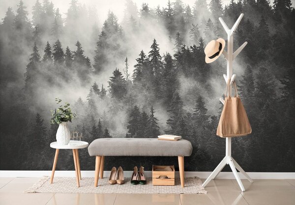 Carta da parati – Foresta nella nebbia in bianco e nero