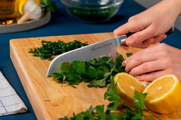 LAGOSTINA Coltello Santoku Iceforce Lama da 18 cm in Acciaio Inox - 014458510318