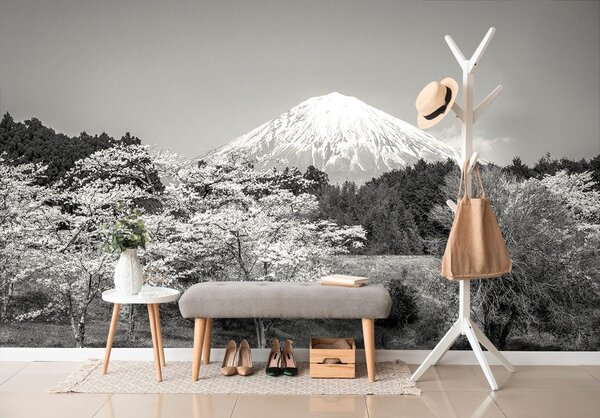 Carta da parati – Monte Fuji in bianco e nero
