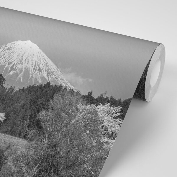 Carta da parati – Monte Fuji in bianco e nero