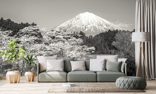 Carta da parati – Monte Fuji in bianco e nero